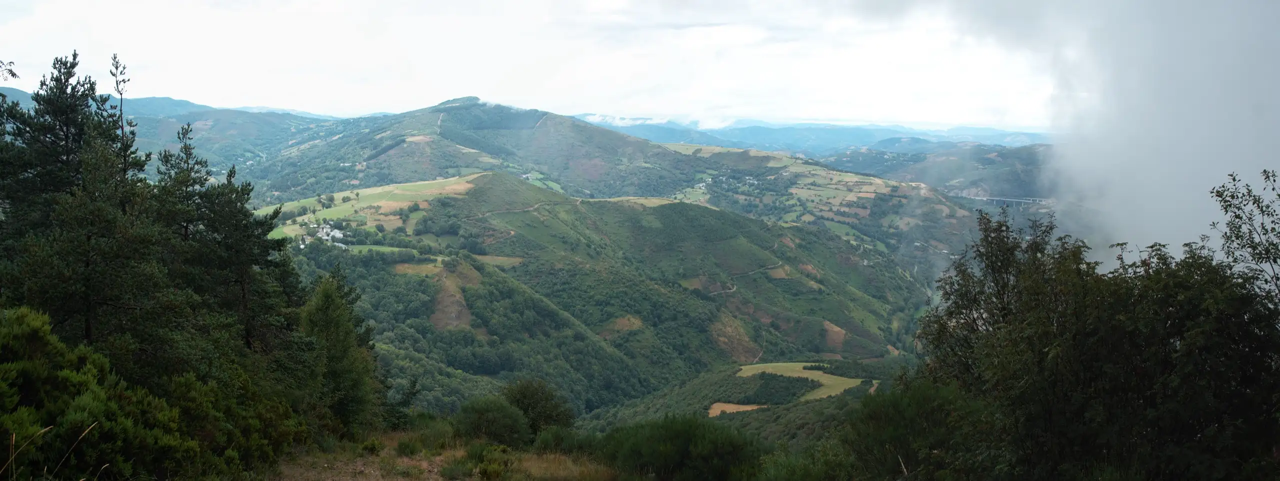 Un sendero señalizado del Camino de Santiago cruzando campo abierto