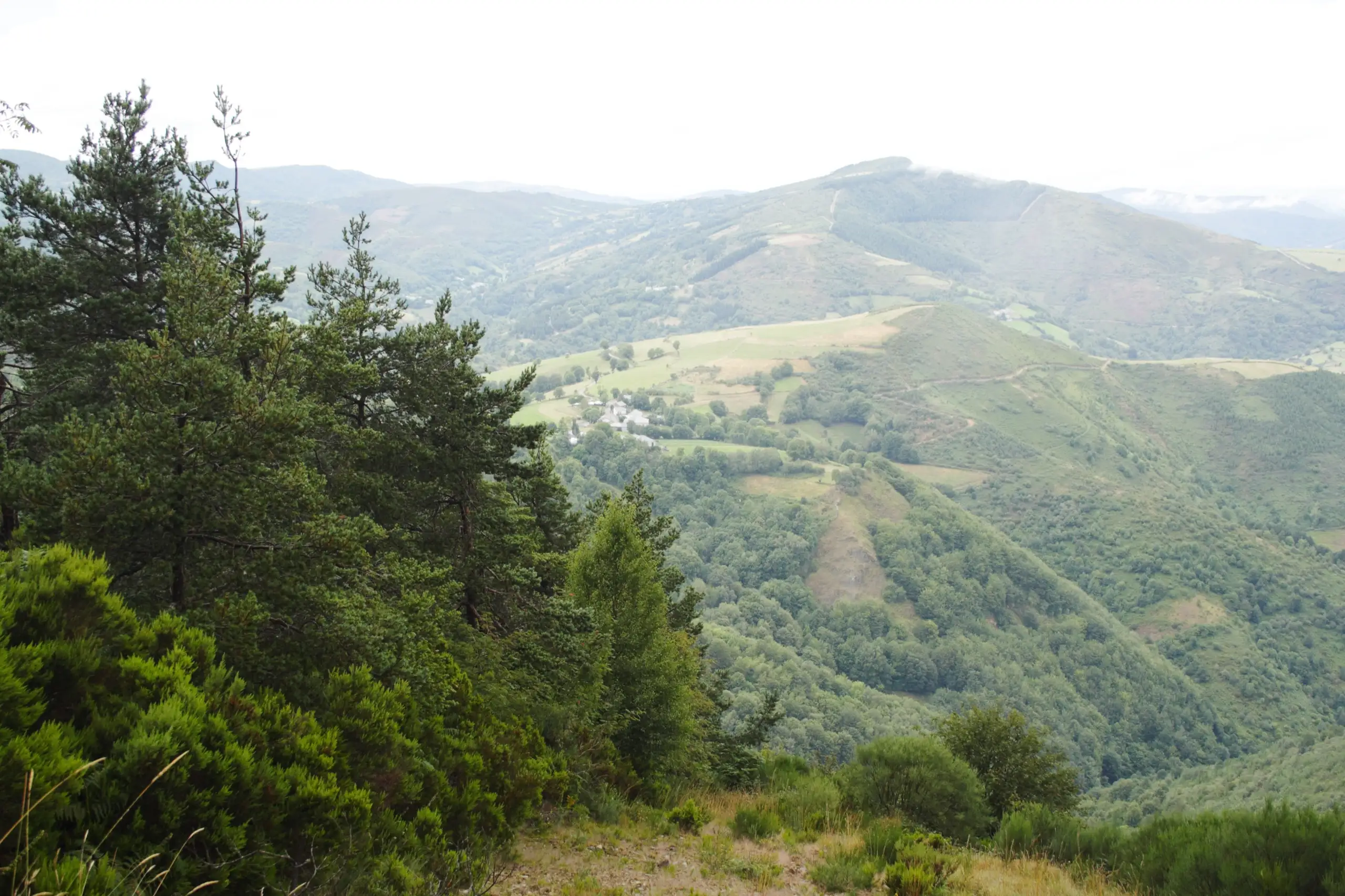 Pallozas con techo de paja en O Cebreiro, la puerta de Galicia